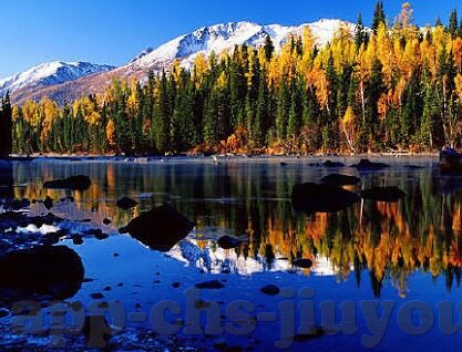 世界杯 直播源-世界杯直播源，连接全球球迷的桥梁